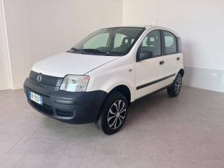 FIAT Panda usata 2