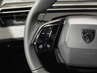 PEUGEOT 5008 usata 28