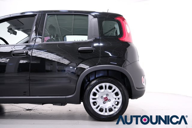 FIAT Panda usata 38