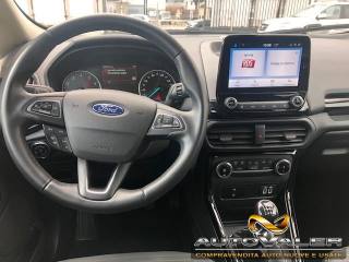 FORD EcoSport usata, con Cruise Control