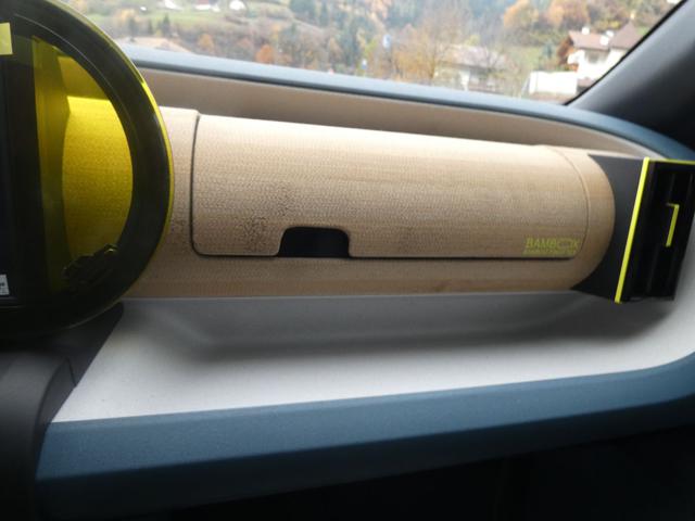 FIAT Grande Panda usata, con Park Distance Control