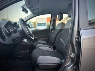 FIAT Panda usata 21