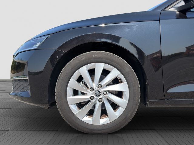 SKODA Octavia usata 15