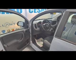 FIAT New Panda usata, con Chiusura centralizzata