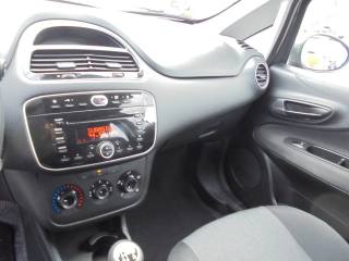 FIAT Punto usata 31