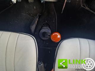 ROVER Mini usata 22