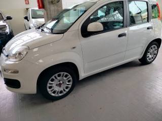 FIAT Panda usata, con Autoradio
