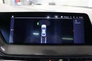 BMW 220 usata, con Riconoscimento dei segnali stradali