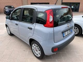 FIAT Panda usata, con Alzacristalli elettrici