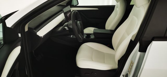 TESLA Model Y usata, con Cronologia tagliandi
