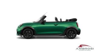 MINI Cabrio usata 1