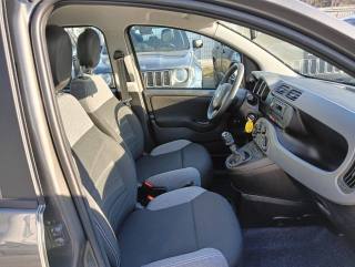 FIAT Panda usata, con Fendinebbia