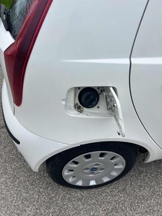 FIAT Punto usata 6
