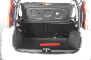 FIAT Panda usata 12