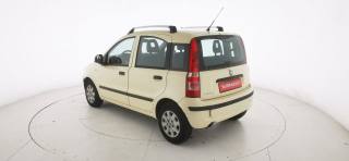 FIAT Panda usata 2