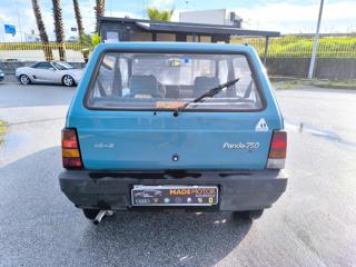 FIAT Panda usata 3