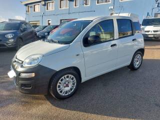 FIAT Panda usata 1
