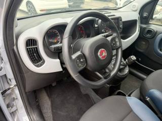 FIAT Panda usata, con Servosterzo