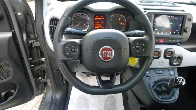 FIAT Panda Cross usata, con Controllo trazione