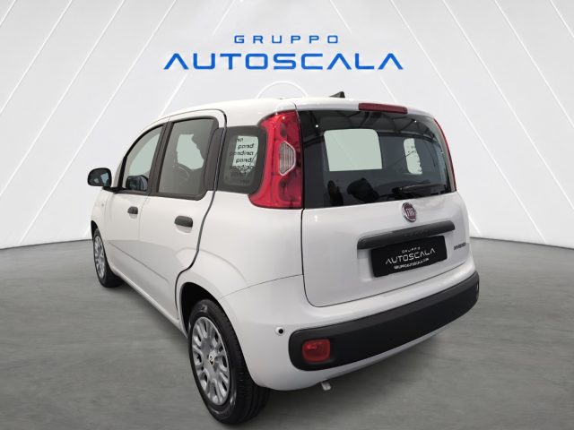 FIAT New Panda usata, con Airbag laterali