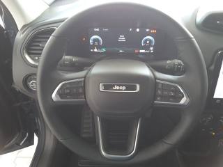 JEEP Renegade usata, con Cerchi in lega