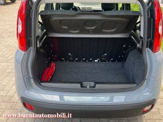 FIAT Panda usata 14