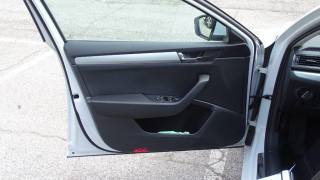 SKODA Superb usata 49