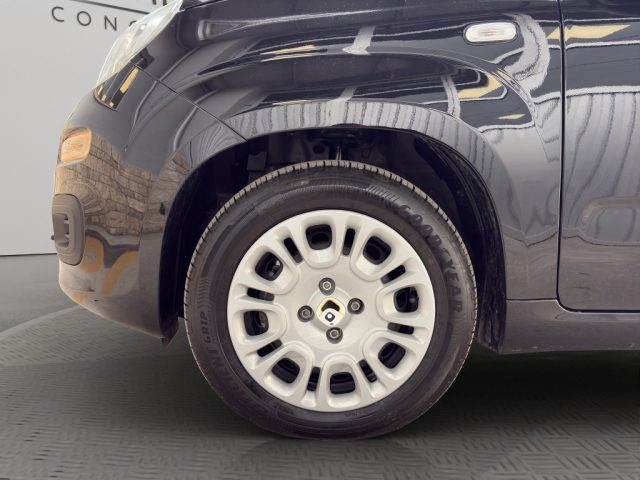 FIAT Panda usata 22