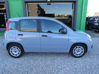 FIAT Panda usata, con Autoradio