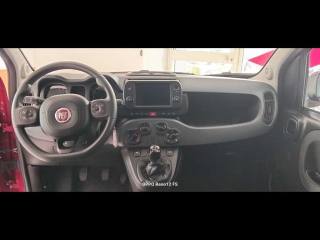 FIAT Panda Cross usata, con Servosterzo