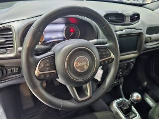 JEEP Renegade usata, con Cerchi in lega