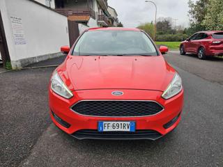 FORD Focus usata, con Climatizzatore