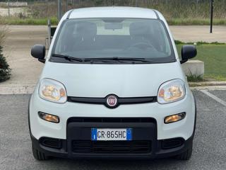 FIAT Panda usata, con Immobilizzatore elettronico