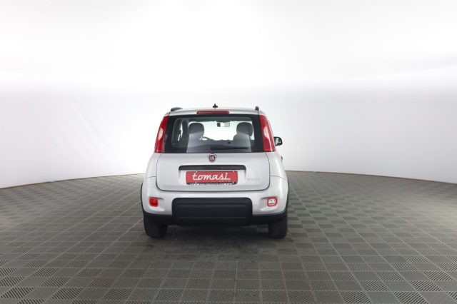 FIAT Panda usata 4