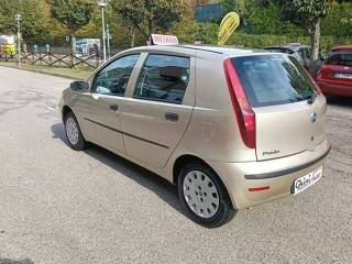 FIAT Punto usata, con Climatizzatore