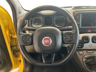 FIAT Panda usata 19