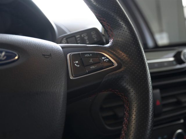 FORD EcoSport usata, con Bracciolo