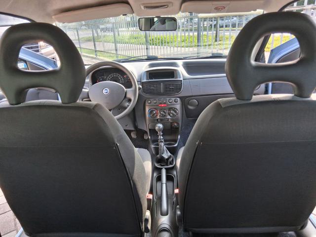 FIAT Punto usata 13