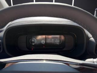 FIAT Doblo usata 10