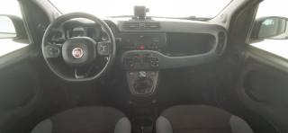 FIAT Panda usata, con Controllo trazione