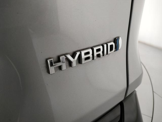 TOYOTA RAV 4 usata, con Controllo vocale