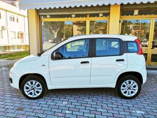 FIAT Panda usata, con Airbag Passeggero