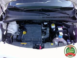 FIAT 500L usata, con Airbag testa