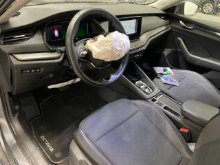 SKODA Octavia usata, con Fendinebbia