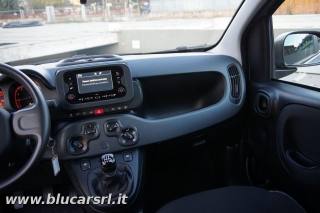FIAT Panda usata, con Controllo trazione