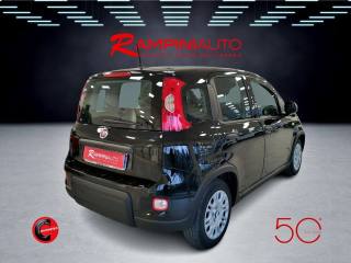 FIAT Panda usata 7