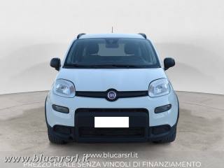 FIAT Panda usata 2