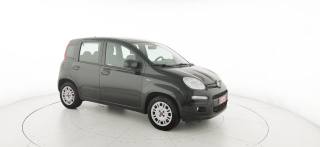 FIAT Panda usata 35