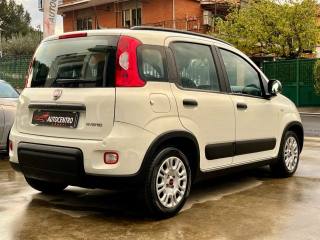FIAT Panda usata, con Boardcomputer