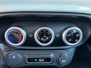 FIAT 500L usata 24